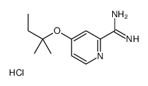 4-(2-methylbutan-2-yloxy)pyridine-2-carboximidamide,hydrochloride结构式