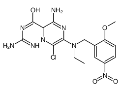 5-(N-ethyl-(2'-methoxy-5'-nitrobenzyl))amiloride Structure