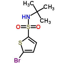 5-bromo-N-tert-butylthiophene-2-sulfonamide Structure
