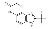 2-Chloro-N-(2-trifluoromethyl-1H-benzoimidazol-5-yl)-acetamide结构式
