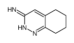 5,6,7,8-tetrahydrocinnolin-3-amine Structure