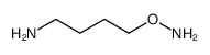 1-aminooxy-4-aminobutane structure