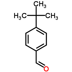 对叔丁基苯甲醛结构式