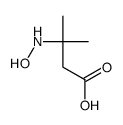 3-(hydroxyamino)-3-methylbutanoic acid结构式
