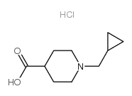 1-环丙基甲基哌啶-4-羧酸盐酸盐结构式
