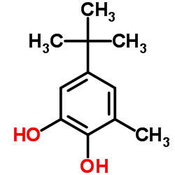 5-Tert-butyl-3-methylpyrocatechol Structure