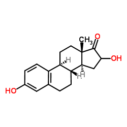 16α-Hydroxyestrone Structure