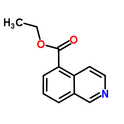 5-异喹啉甲酸乙酯结构式