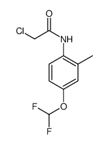 2-CHLORO-N-(4-DIFLUOROMETHOXY-2-METHYL-PHENYL)-ACETAMIDE Structure