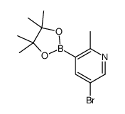 5-溴-2-甲基吡啶-3-硼酸频那醇酯结构式