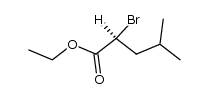 ethyl (S)-2-bromo-4-methylpentanoate Structure