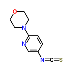 6-(吗啉-4-基)吡啶-3-基异硫氰酸酯结构式