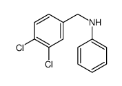 N-[(3,4-dichlorophenyl)methyl]aniline Structure