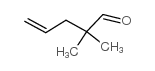 2,2-Dimethyl-4-pentenal Structure