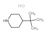 4-叔丁基哌啶盐酸盐结构式
