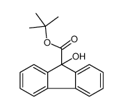 tert-butyl 9-hydroxyfluorene-9-carboxylate结构式