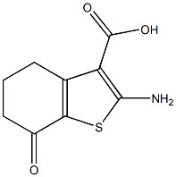 2-氨基-7-氧代-4,5,6,7-四氢-1-苯并噻吩-3-羧酸结构式