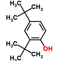 2,4-Di-t-butylphenol Structure