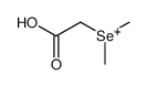 carboxymethyl(dimethyl)selanium Structure
