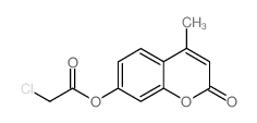 4-甲基-2-氧代-2H-色烯-7-基 氯乙酸酯结构式