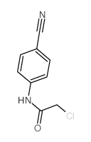 2-Chloro-N-(4-cyano-phenyl)-acetamide Structure