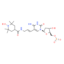 5-(3-(2,2,6,6-tetramethyl-1-oxy-piperidine-4-carboxamido)prop-1-enyl)-2'-deoxycytidine 5'-triphosphate结构式