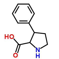 3-苯基吡咯烷-2-羧酸结构式