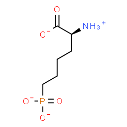 L(+)-2-Amino-6-phosphonohexanoic acid hydrate structure
