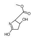 methyl (2S)-3-hydroxy-5-oxopyrrolidine-2-carboxylate Structure