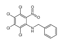 N-苄基-6-硝基-2,3,4,5-四氯苯胺结构式