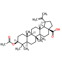 3Beta-乙酰氧基白桦酸结构式