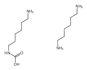 hexane-1,6-diamine (6-aminohexyl)carbamate Structure