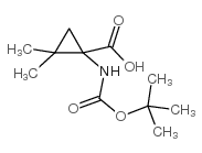1-叔丁氧基羰基氨基-2,2-二甲基 - 环丙烷羧酸结构式