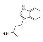 4-(1H-indol-3-yl)butan-2-amine Structure