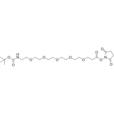 t-Boc-N-amido-PEG5-NHS ester structure