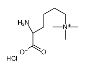 Nε,Nε,Nε-Trimethyllysine chloride Structure