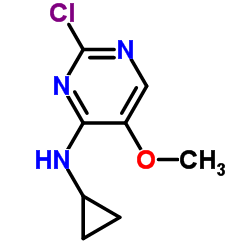 2-Chloro-N-cyclopropyl-5-methoxy-4-pyrimidinamine Structure