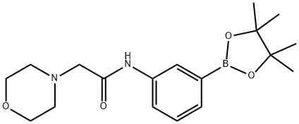 2-morpholino-N-(3-(4,4,5,5-tetramethyl-1,3,2-dioxaborolan-2-yl)phenyl)acetamide Structure