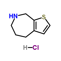 5,6,7,8-tetrahydro-4H-thieno[2,3-c]azepine hydrochloride picture