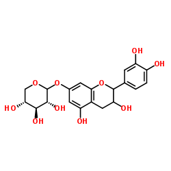 Catechin 7-xyloside structure