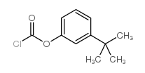 间叔丁基氯甲酸苯酯结构式