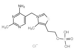 盐酸硫胺素一磷酸盐氯化物结构式