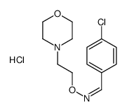 (E)-1-(4-chlorophenyl)-N-(2-morpholin-4-ium-4-ylethoxy)methanimine,chloride Structure