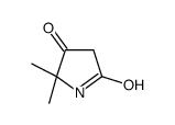 5,5-dimethylpyrrolidine-2,4-dione Structure