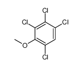 2,3,4,6-TETRACHLOROANISOLE picture