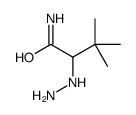2-hydrazinyl-3,3-dimethylbutanamide Structure