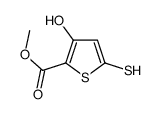 methyl 3-hydroxy-5-sulfanylthiophene-2-carboxylate结构式