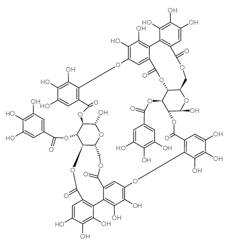 Oenothein B structure