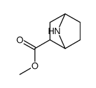 7-氮杂双环[2.2.1]庚烷-2-羧酸甲酯结构式