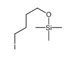 4-iodobutoxy(trimethyl)silane Structure